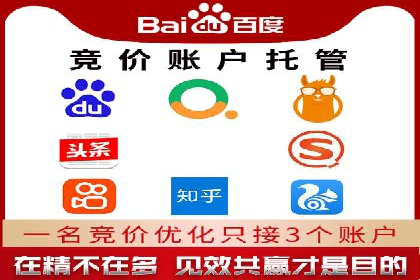 竞价代运营成功案例解析